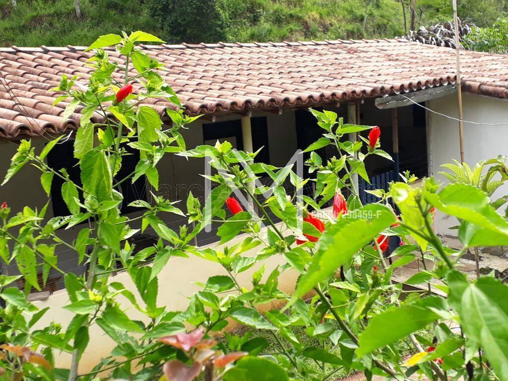 Fazenda à venda com 4 quartos, 400m² - Foto 4